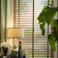 Wood Blinds 